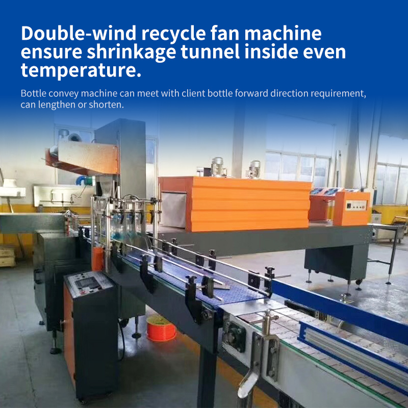 Automatic Thermo Shrinkage Package Machine BS-10L - 图片 4